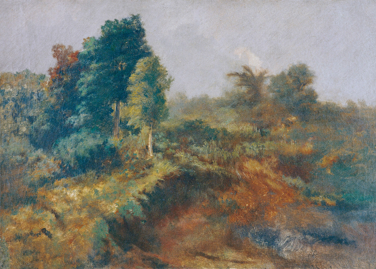 התאנה.. 16 -Stub למעבר Humaitá, ויקטור מיירלס, 1868-72. מוזיאון מאירלס ויקטור.