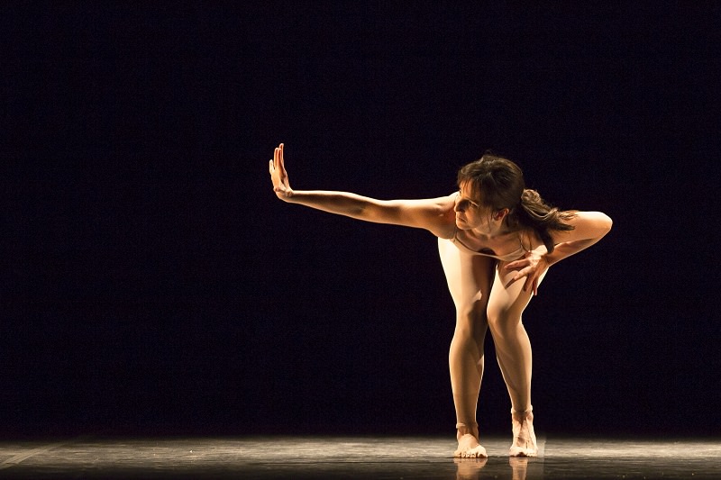 Cinequanon, con la Cia de foco. de la danza. Fotos: Paula Kossatz.
