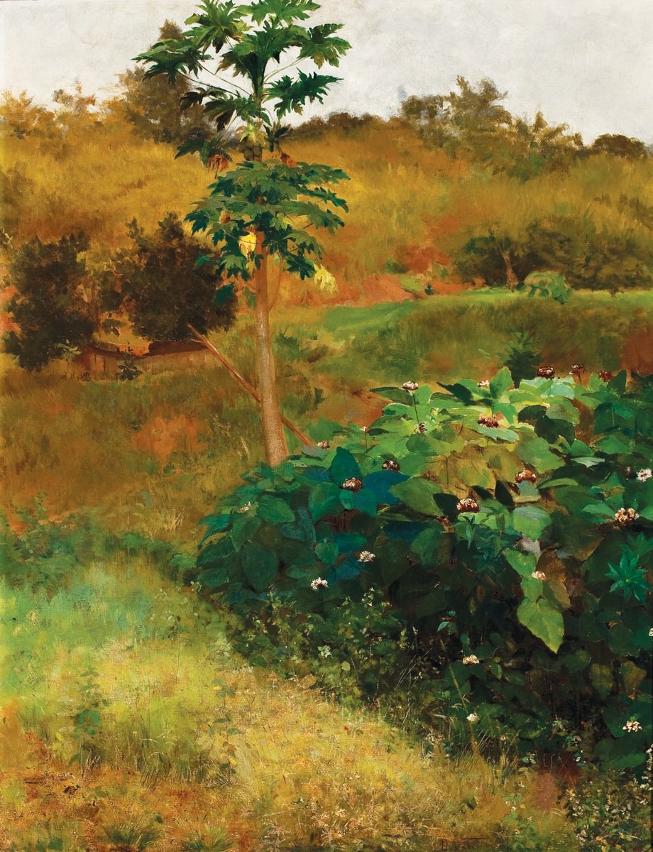 Fig. 2 – Mamoeiro, Eliseu Visconti, óleo sobre tela, 92 x 73 cm, 1889. Museu Nacional de Belas Artes – MNBA/RJ.