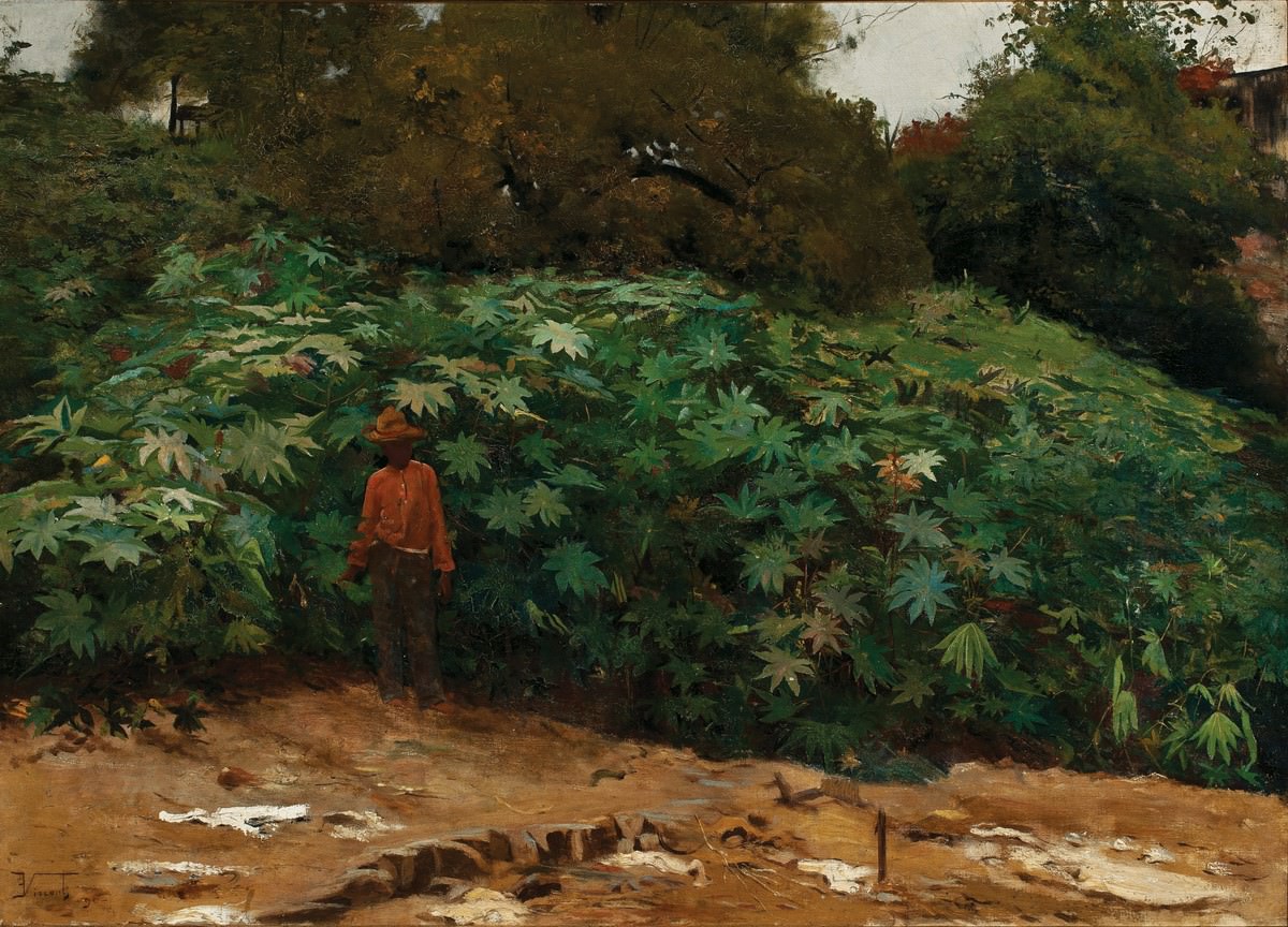 Fico. 9 - Mamoneiras - Morro de São Bento, Eliseu Visconti, olio su tela, 62 x 88 cm, 1890. Collezione privata.