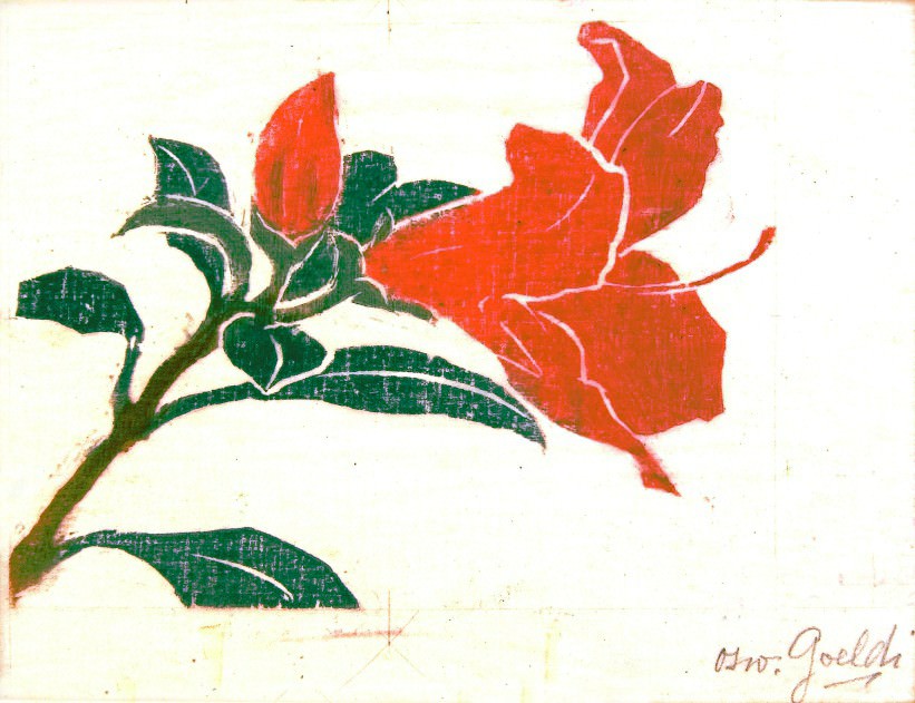 Oswaldo Goeldi, ''Hibiscus'', woodcut, 9,8 cm x 13,3 cm. Photo: Disclosure.