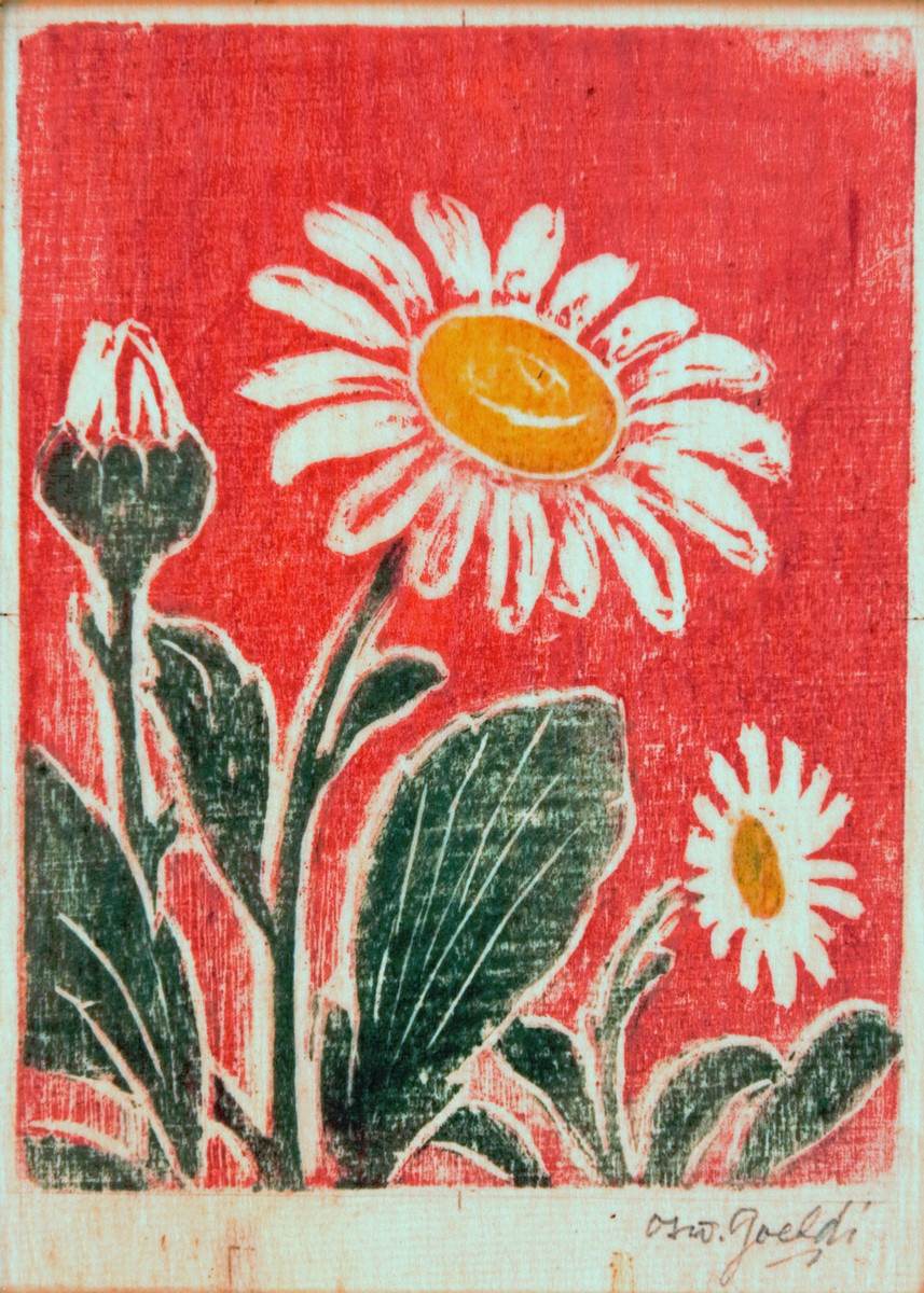 奥斯瓦尔多·德里韦罗 Goeldi, ''雏菊'', 木刻, 12,5 厘米× 10,2 厘米. 照片: 泄露.