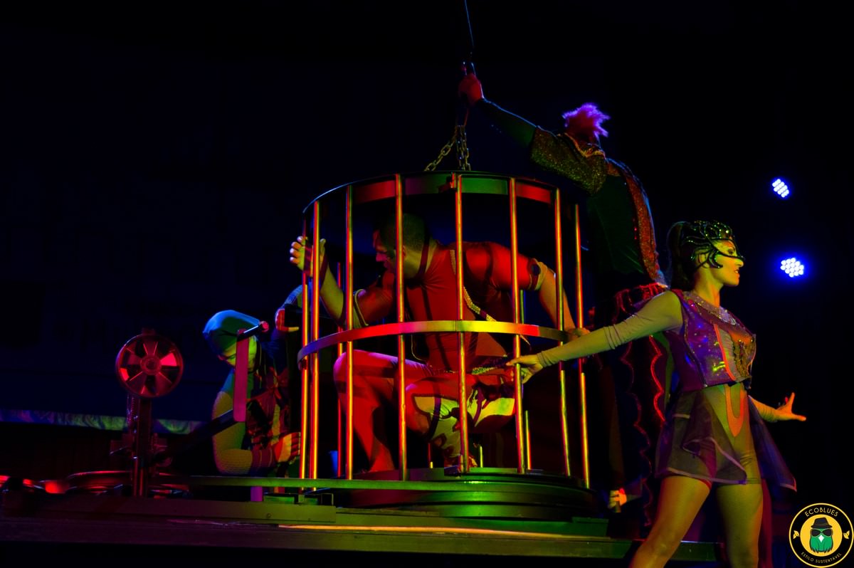 Dream Circus nel mondo fantastico. Foto: Ecoblues.