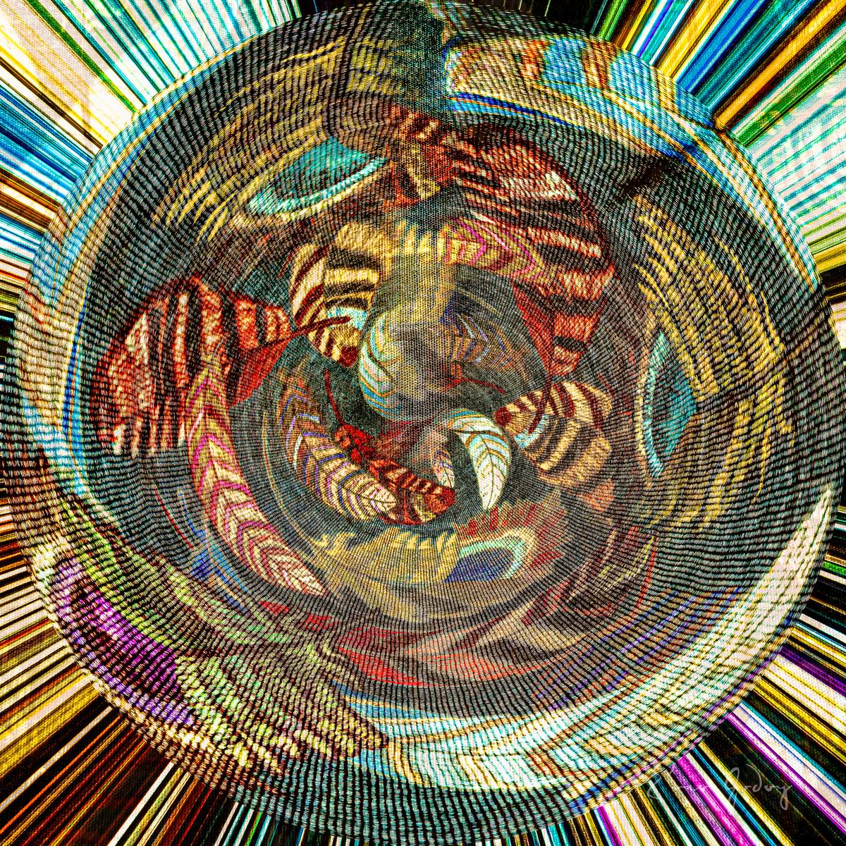 Enio Godoy. Título: Mandala II. Técnica: Fotografia usando Lightroom e Photoshop. Dimensões 50 x 50 cm.