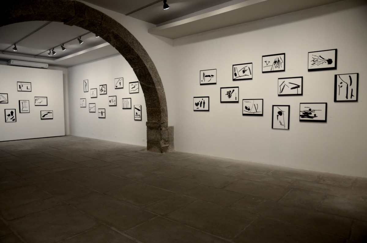 Exhibition by Vicente de Mello. Photo: Marco.