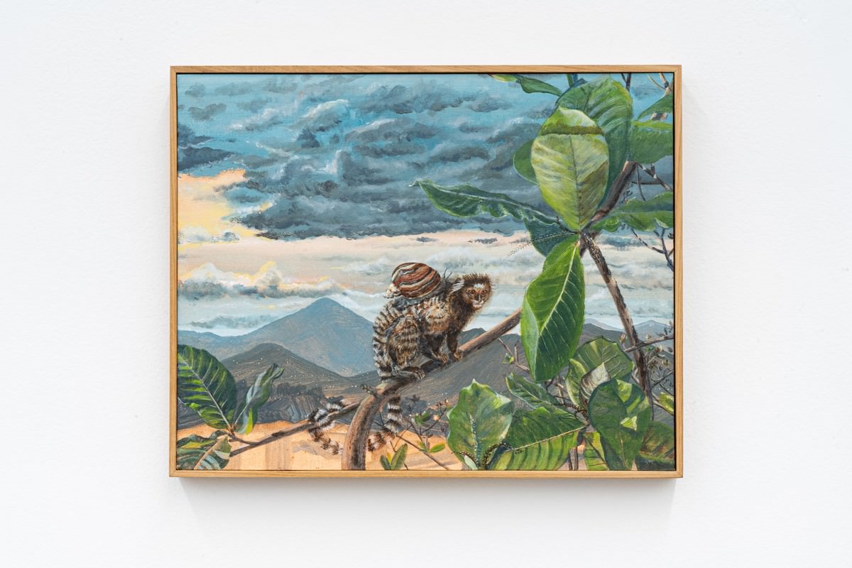 Alberto Baraya, Macaco con Caracol, gigante africano (Callithrix jacchus con Achatina fulica). 2018. Tinta acrílica sobre tela. 40 x 50 x 4,5 cm. Foto: Cortesia do artista e Galeria Nara Roesler.