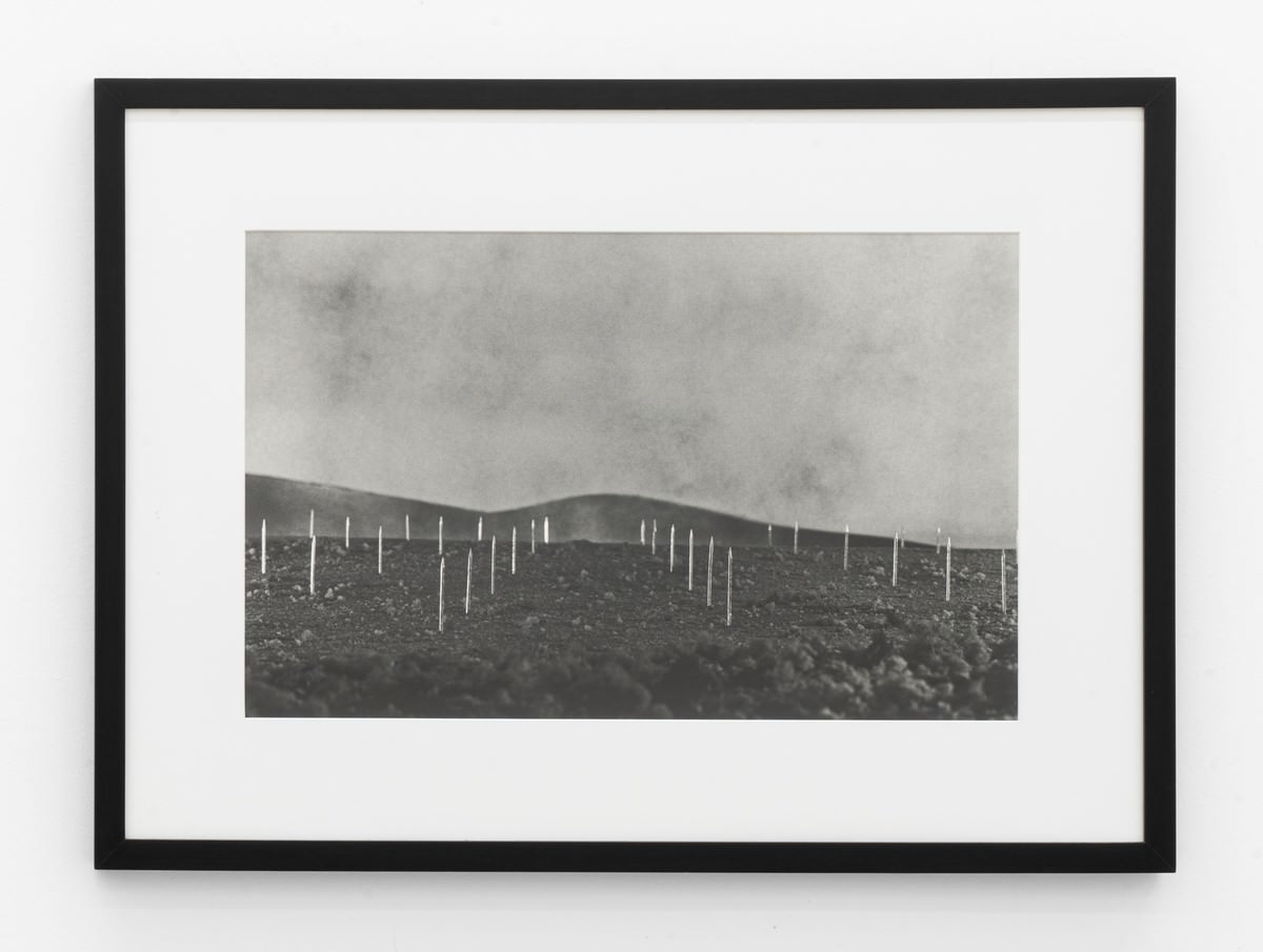 Vik Muniz, Earthworks Brooklyn: Brooklyn, NY (Lightning Field, a partir de Walter de Maria). 1999/2013. C-print digital ed 1/6 + 4 PAs. 50,3 x 75,9 cm. Foto: Cortesia do artista e Galeria Nara Roesler.