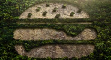 Documentario "Amazon in Flames", poster - in primo piano. Rivelazione.