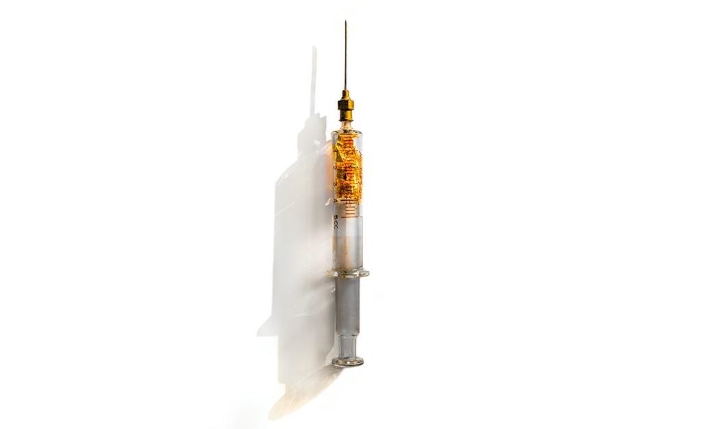 "Jacaré" 2021, 凯萨琳娜苏莱曼. 18x 1,5 厘米. 旧注射器, 原始可重复使用的玻璃和金色 24 克拉. 照片: 泄露.