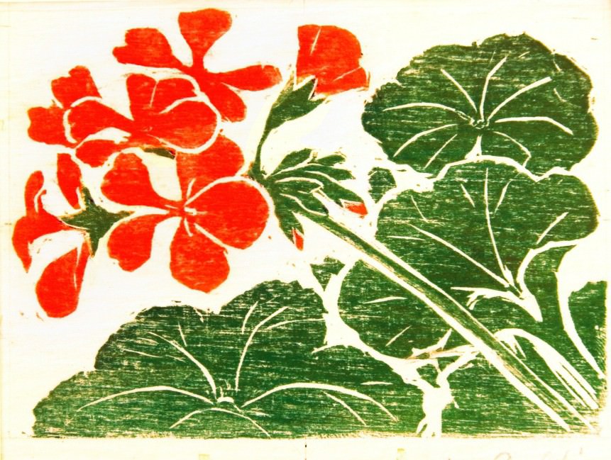 奥斯瓦尔多·德里韦罗 Goeldi, 天竺葵, 木刻, 10,5 厘米× 13 厘米. 照片: 泄露.