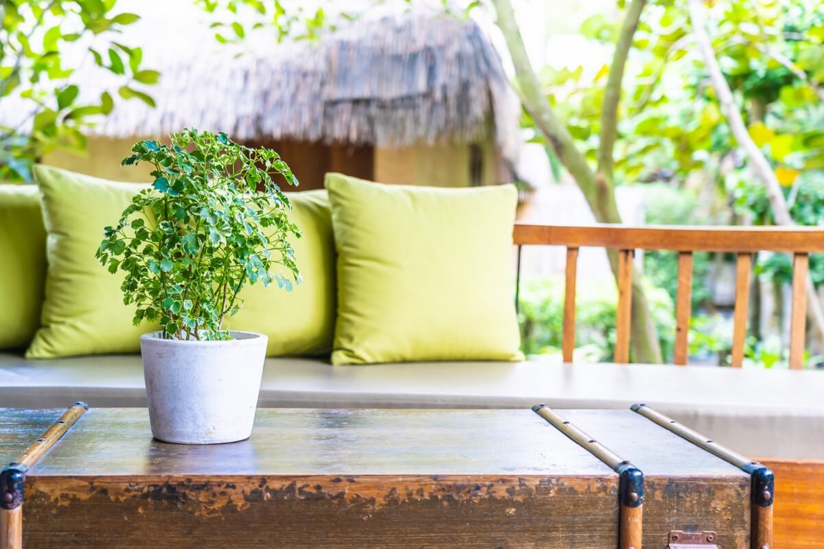Tips for decorating and building the outside area of ​​a house. Photo:Flower photo created by lifeforstock - br.freepik.com.
