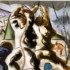 Fico. 1 – Scoperta della Terra, 1941, Tempera con supporto incollato su carta nera, 28,6 x 29 cm, in primo piano. Diritti João Candido Portinari. Foto: Candido Portinari, Dominio pubblico, tramite Wikimedia Commons.