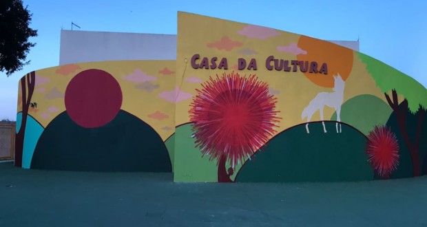 Caliandras en la Casa de Cultura do Guará. Fotos: gabriela muti.