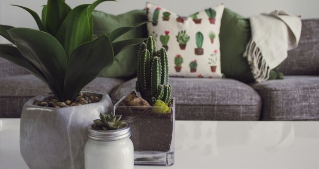 Tips for using minimalist objects in home decor. Photo: Designecologist no Pexels.