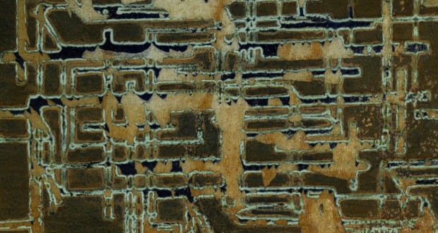 Хилал Сами Хилал – Без названия, 2022, Монотипия на крепе, 17,5 X 48 см. Фото: Бруно Коэльо.