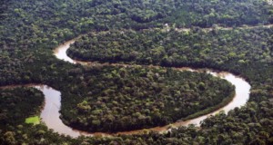 Amazônia em Foco: A Obra de Bruno Cecim, por Juliana Vannucchi