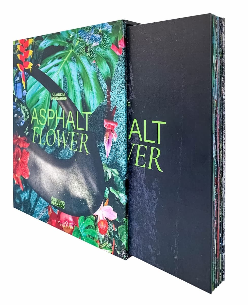 Livro "Asphalt Flower" de Claudia Jaguaribe pela editora francesa Éditions Bessard. Divulgação.