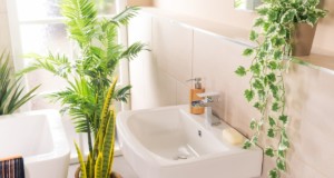 Φενγκ Σούι: banheiro com problemas pode 'roubar boas energias'. Εικόνα Wirestock στο Freepik.