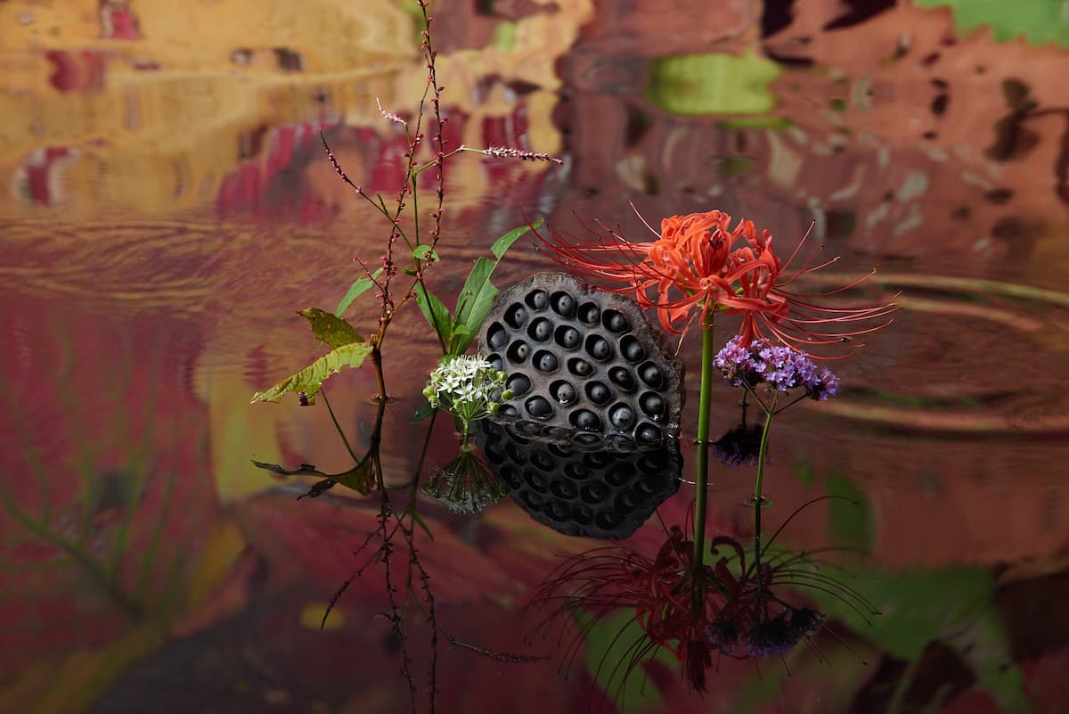 Выставка «СУТЬ: внутренний сад - Атсунобу Катагири».. Фото: Ацунобу Катагири / Раскрытие.