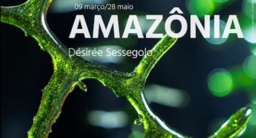 Amazon exhibition by designer Désirée Sessegolo, Flyer - featured. Disclosure.