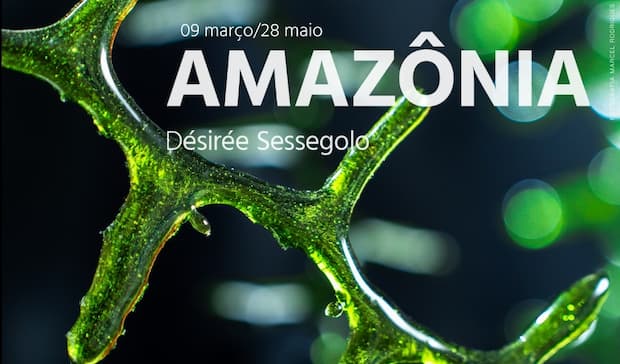Exposição Amazônia da designer Désirée Sessegolo, flyer - destaque. Divulgação.