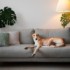 pet architecture: how to include your friend in home decor. Freepik image.