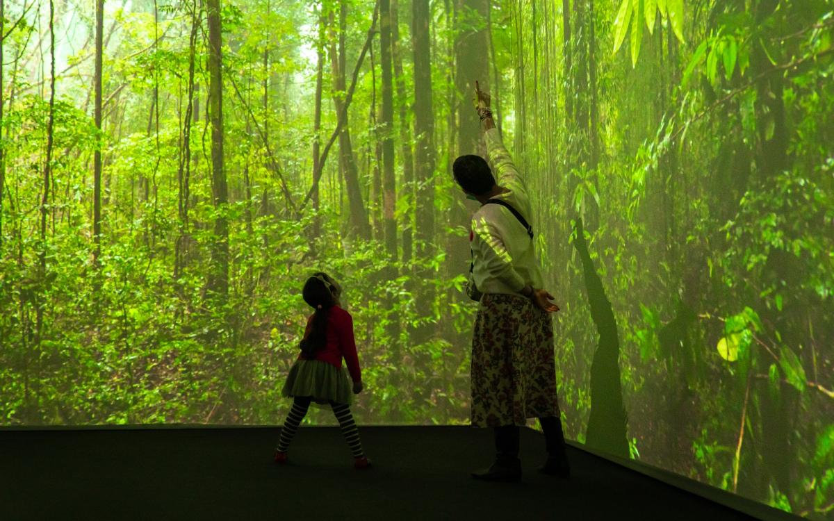 Museu do Amanhã inaugura exposição "Sentir Mundo - Uma jornada imersiva". Foto: Divulgação.